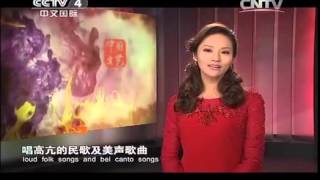 20140606 中国文艺 我们的歌会——刘大成