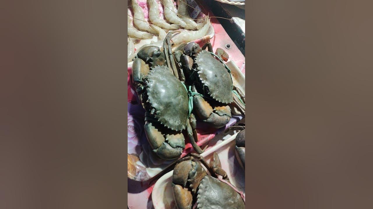 Kakra I Sea Fish I Viral Kakra - YouTube