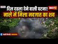 Bhopal Breaking News: नाले में नवजात का शव मिलने से हड़कंप। आसपास के CCTV फुटेज खंगाल रही पुलिस