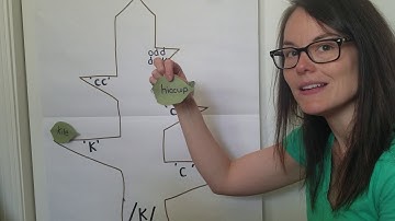 Skills Unit 5 Lesson 4