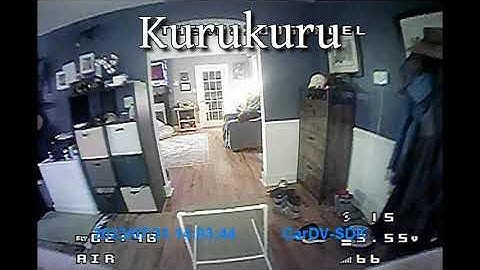 IGOW4 Week 11 NewBeeDrone Scavenger Hunt