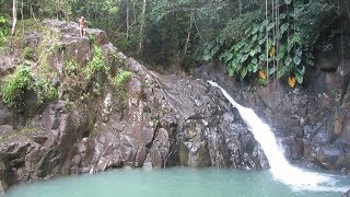 Cascade Le Saut De Lacomat - Pointe-Noire - Guadeloupe