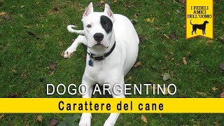 Il Dogo Argentino  Carattere del Cane