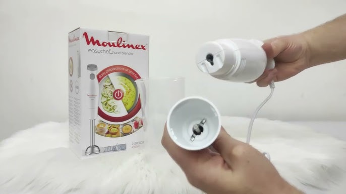 MOULINEX l Avis sur le Turbomix : Des recettes savoureuses sur simple  pression d'un bouton ! 