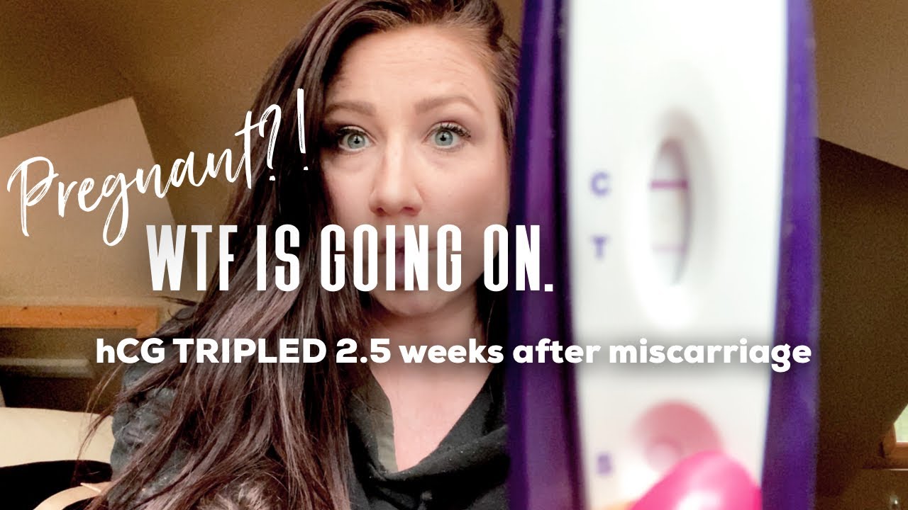 Pregnant 2.5 Weeks After a Miscarriage?! || My hCG tripled & We Have No Idea... - YouTube