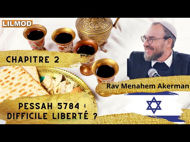 Rav Akerman-Pessah 5784 : difficile liberté ? N2- LES 4 COUPES DE VIN DE YOSSEF ...- 15.04.24