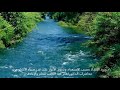 ورود الإمداد بحسب الإستعداد وشروق الأنوار على قدر صفاء الأسرارمن محاضرات الدكتور عمرعبد الكافى للعلم