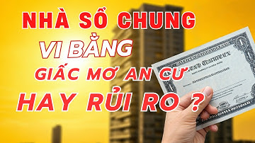 Nhà Sổ Chung – Vi Bằng: Giấc Mơ An Cư Hay Cơn Ác Mộng Rủi Ro?