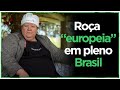 Família de origem europeia vive em um lindo sítio em Santa Catarina | Doutor Pedrinho/SC