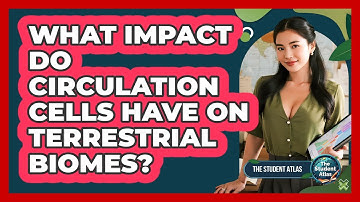 What Impact Do Circulation Cells Have on Terrestrial Biomes?