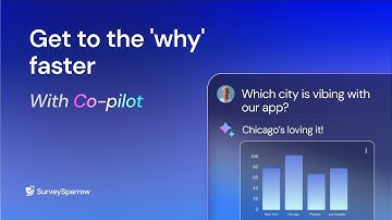 Find Customer Insights Faster with Co-pilot | SurveySparrow