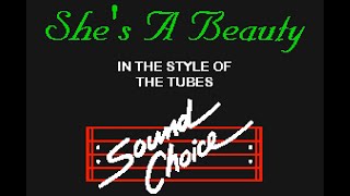 She's A Beauty, The Tubes, Pitch -1
