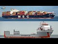 Shipspotting Port of ROTTERDAM - Arrivals and Departures November 2020