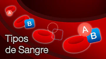 ¿Por qué existen 4 tipos de sangre?