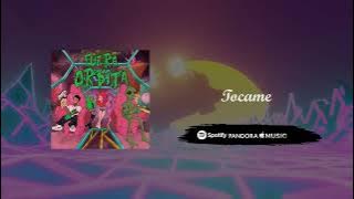 LA SANTA GRIFA // TOCAME // FUERA DE ORBITA (AUDIO)