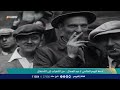قصة اليوم العالمي لـ عيد العمال من الأضراب إلى الأحتفال نسمات زاكروس 
