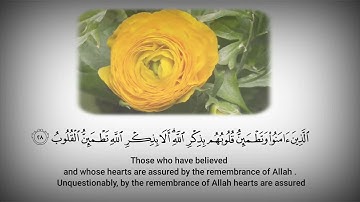 القارئ عبد الرحمن مسعد ، الذين آمنوا وتطمئن قلوبهم بذكر الله ...