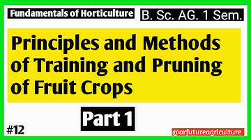 Principles and Methods of Training and Pruning of Fruit Crops | B.Sc. Ag ICAR JRF & CUET Preparation