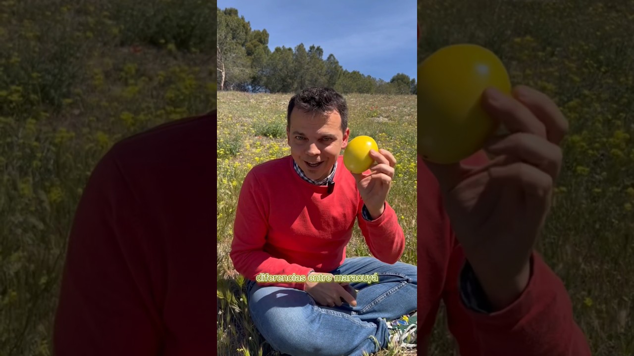Descubre las diferencias entre estas 3 frutas tropicales #frutadelapasion #maracuya #granadilla