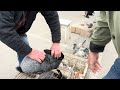 Spring Fair Of Pigeons And Other Animals Belogorodka 29 03 26 1 Hour 