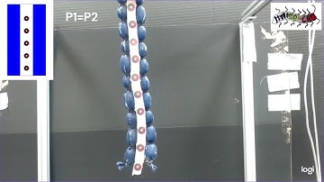 IROS23_SoftRobot_PDE