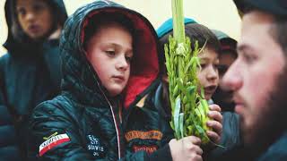 STL SUKKOT BOYS