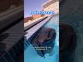 Ich muss nie wieder ins Wasser steigen, um meinen Poolroboter einzusammeln.#BeatbotSora30 #Beatbot