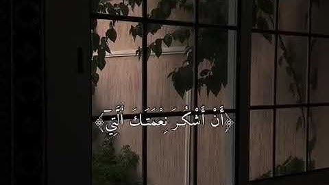 تلاوة خاشعة حالات واتس اب قرآن كريم القارئ فارس عباد ❤
