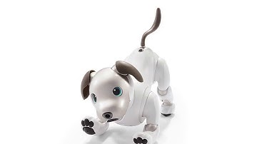 With new APIs, Sony’s robot dog could be the smart home assistant you’ve always wanted