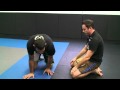 Fabricio Werdum - Anaconda Variation