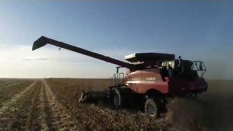 Colby AgTech Segment  "Is your corn head ready for #Harvest18?"