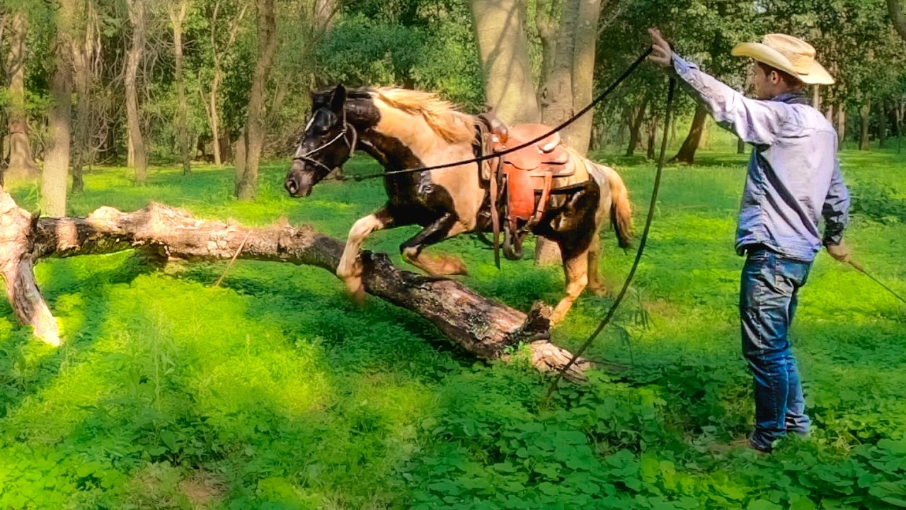 GROUNDWORK - On The Trail 🌵 | Taming A Wild Horse [EP13] - YouTube