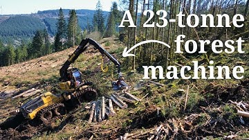 How this Tigercat 1165 impressed one forestry operator