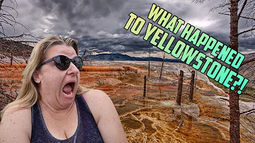 What Happened to YELLOWSTONE National Park | Travel Show