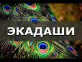 Экадаши — вайшнавский пост 💎 Шрила Бхакти Бимал Авадхут Махарадж (Георгий Аистов)