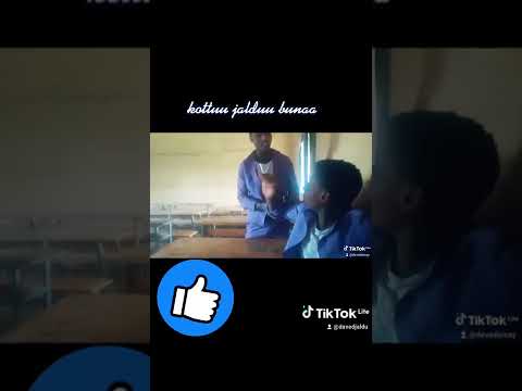 Lol Alamu Kid Jalduu