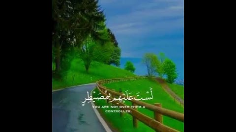 "أفلا ينظرون إلى الإبل كيف خلقت"🤔 | إبداع الشيخ خالد الجليل | #تلاوات_القرآن