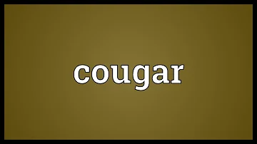 Cosa vuol dire il termine cougar?