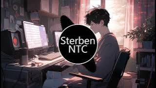 Nightcore // Songs Mix 2024 (1h) - Sterben NTC #2