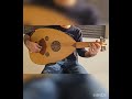 من إنتاجنا صوت شرقي خشب القصعة من الزان والجوزالوجه سبروس نوع أوتار السكر زند عياري من الخارج 