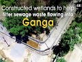 Constructed wetlands to help filter sewage waste flowing into Ganga