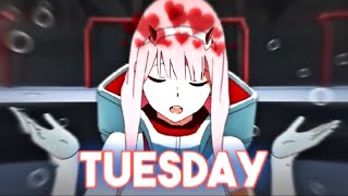 Zero Two / Tuesday