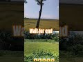 mini vlogs #trending
