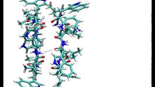 Cyclic Peptide Dimer Dissociation