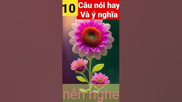 10 câu nói  ý nghĩa của Khổng Tử #shorts - 10 beautiful sayings and meanings of Confucius #shorts