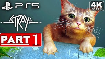 STRAY PS5 Gameplay Walkthrough Part 1 [4K 60FPS] -  No Commentary (FULL GAME)