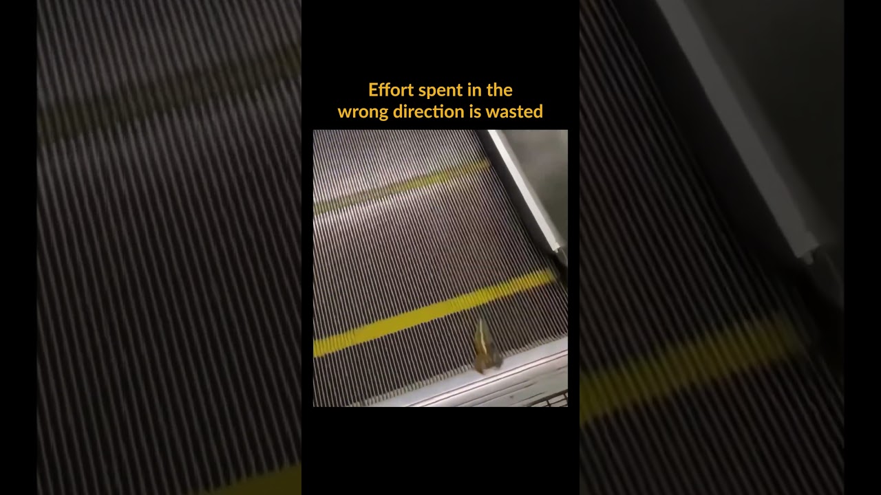 The Importance of Direction