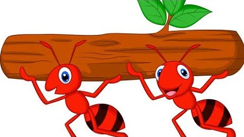 What is an Ant Mill? | The Life and Death Cycle of An Ant | Learn all About Ants |