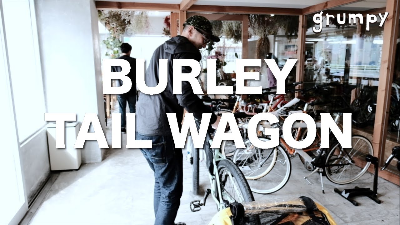 愛犬とサイクリングを楽しめる。BURLEY TAIL WAGON - YouTube