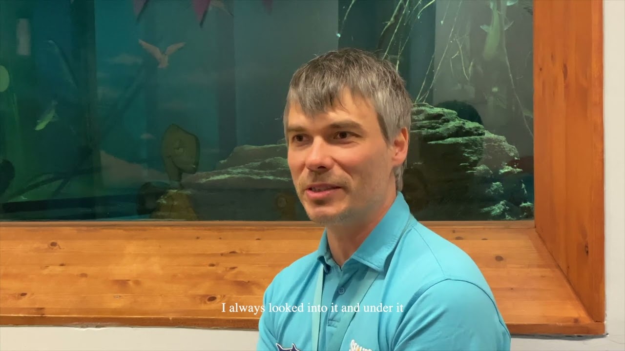 Preview image for the video "o°Cean (2022)".